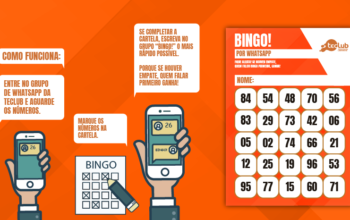 teclub-bingo-whatsapp